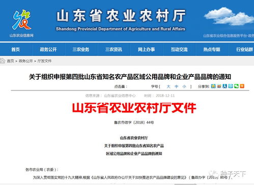 山東啟動省級知名農產品品牌申報競賽，推動農業品牌化發展